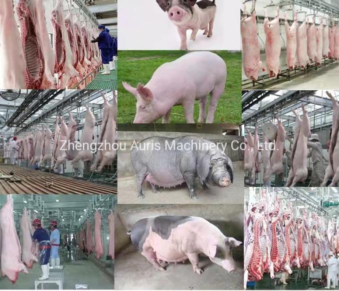 Das Handelsgebrauchs-Schwein-Schlachtlinien-Schweinefleisch-Werkzeugmaschine-Schwein-Haar, das Ausrüstung für Schwein-Schlachthof entfernt, enthaaren Maschine