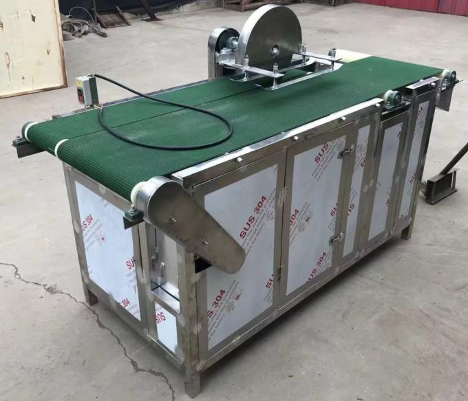 Rohe Fische, die das Fertigungsstraße-Fisch-Wurst-Fertigungsstraße-Fisch-Fleisch zerquetscht und entknocht Maschinen-Klistier-Maschine verarbeiten