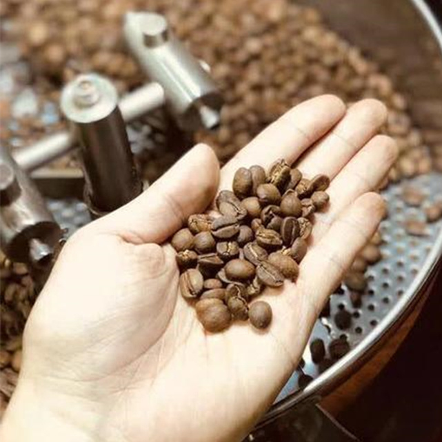Kleine backende Maschine Kilogramms Diedrich Coffee Bean Roaster Roasting niedriger Preis-der elektrischen Gas-hohen Qualität des Toper-5 mit Beispiellöffel