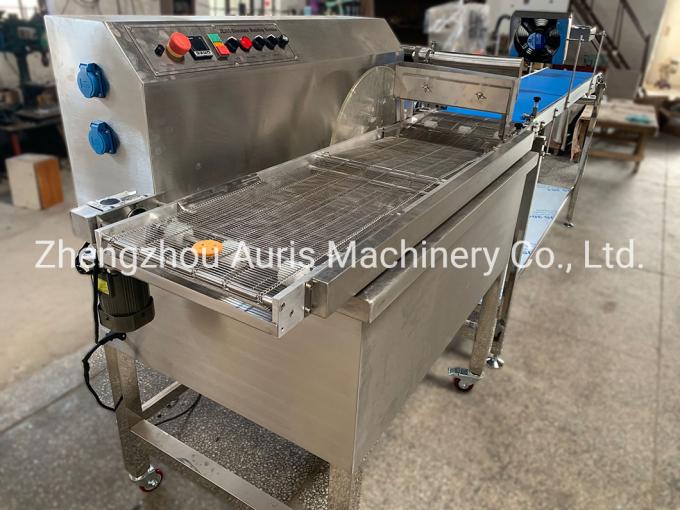 Kleine Schokoladen-Überziehmaschine goldener Eagle Chocolate Making Moulding Machine