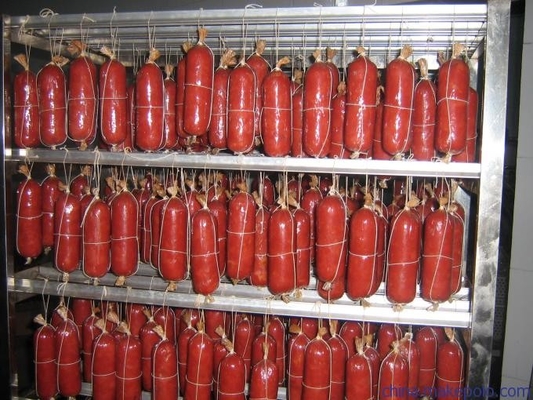 100kg Bacth Wurst-Räucherhaus-Ofen der Fleisch-Raucher-Maschinen-100kg/H