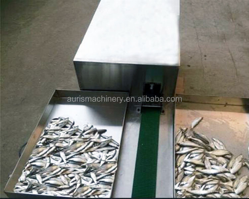 Werkzeugmaschine-hinteres öffnendes Fischschneiden-Maschinen-Ausweiden der Fisch-1800pcs/H sauber