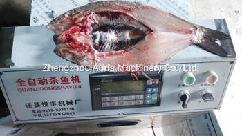 Werkzeugmaschinen der Fisch-1PCS/S, die Bauch-Fisch-Scheiben-Schneidemaschine öffnen